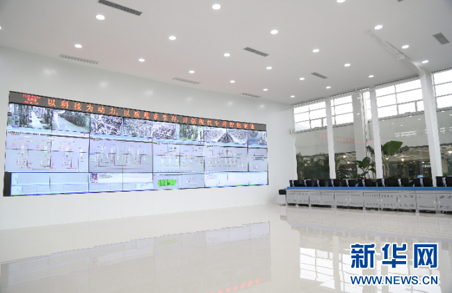 强信心·走进百企丨pa视讯药业：“数智化”助力中医药开启发展新篇章